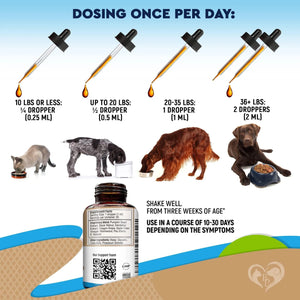 Cats And Dogs Natural Worm Treatment With Probiotic Liquid Herbal Medicine Prevention Medication Supplement Drops For Kitten And Puppies For Daily Use With Pet Food