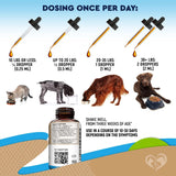 Cats And Dogs Natural Worm Treatment With Probiotic Liquid Herbal Medicine Prevention Medication Supplement Drops For Kitten And Puppies For Daily Use With Pet Food